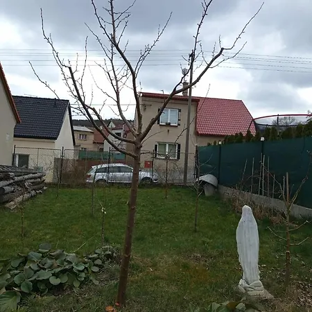 Prizemni S Koupelnou A Kuchyni בית הארחה